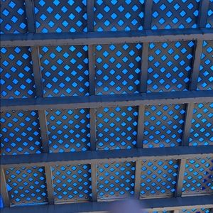 Meet your Posher, Realyn joyce